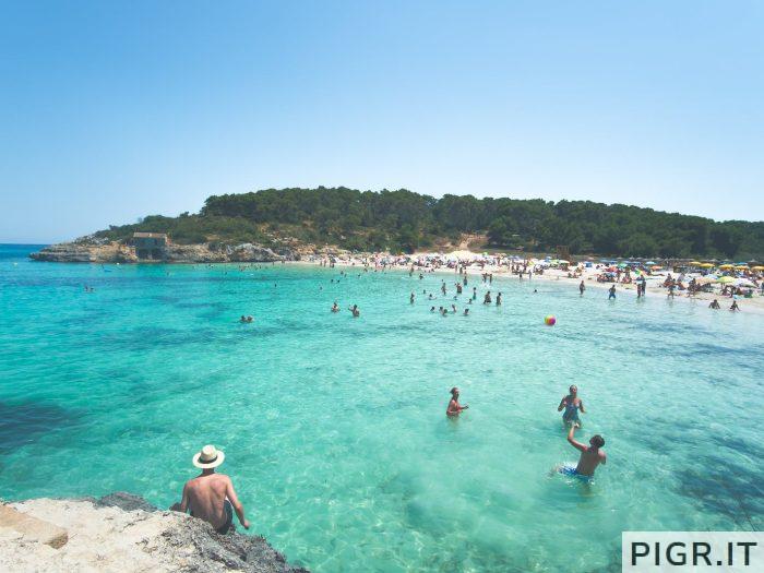 People in the Water Beside Beach
